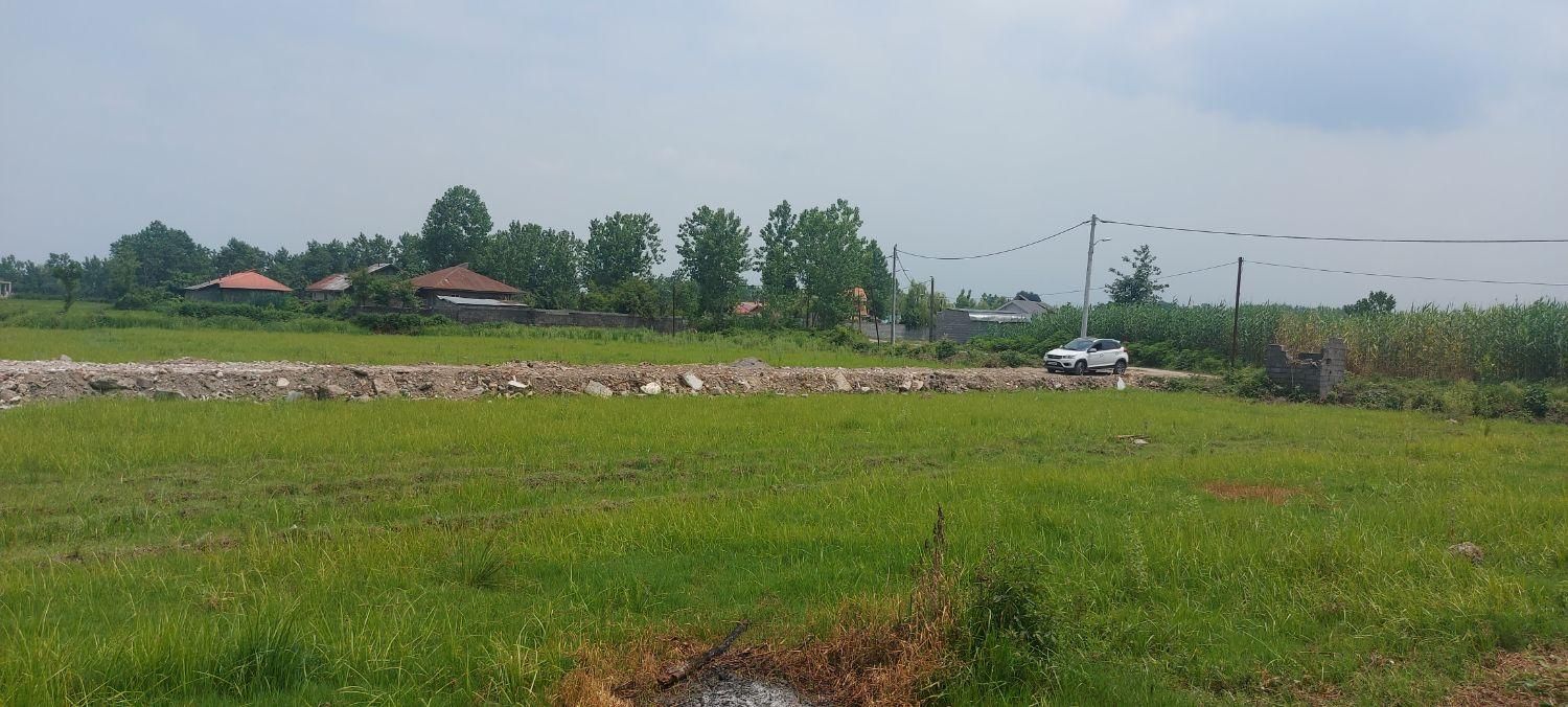 زمین مسکونی|فروش زمین و ملک کلنگی|رشت, لاکان شهر|دیوار