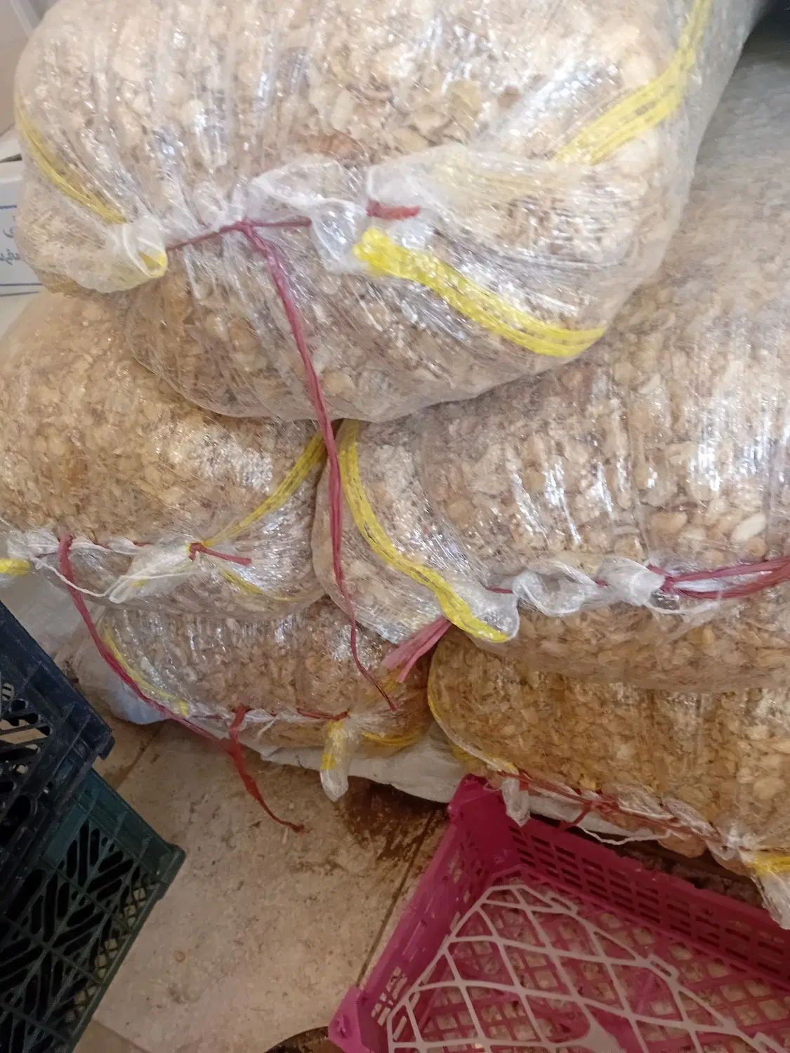 خلال سیر همدان|خوردنی و آشامیدنی|تهران, شمیران‌نو|دیوار