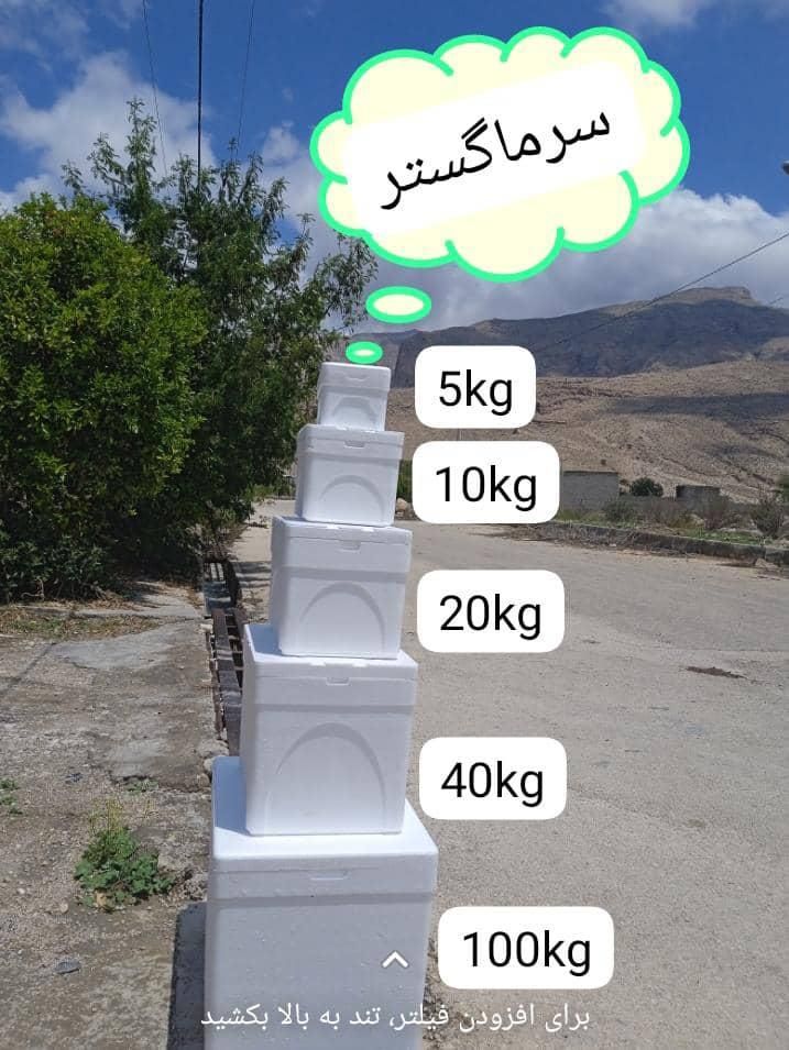 یونولیت یخدان بوچ|ظروف نگهدارنده، پلاستیکی، یک‌بارمصرف|شیراز, حجت آباد|دیوار