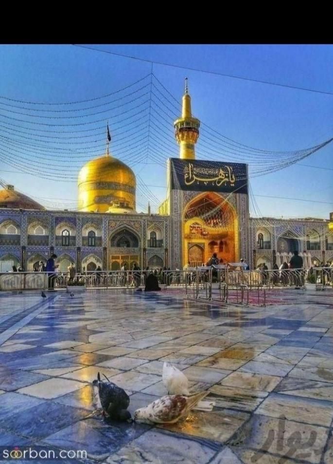 تور مشهد مقدس همه روزه|تور و چارتر|اصفهان, احمدآباد|دیوار