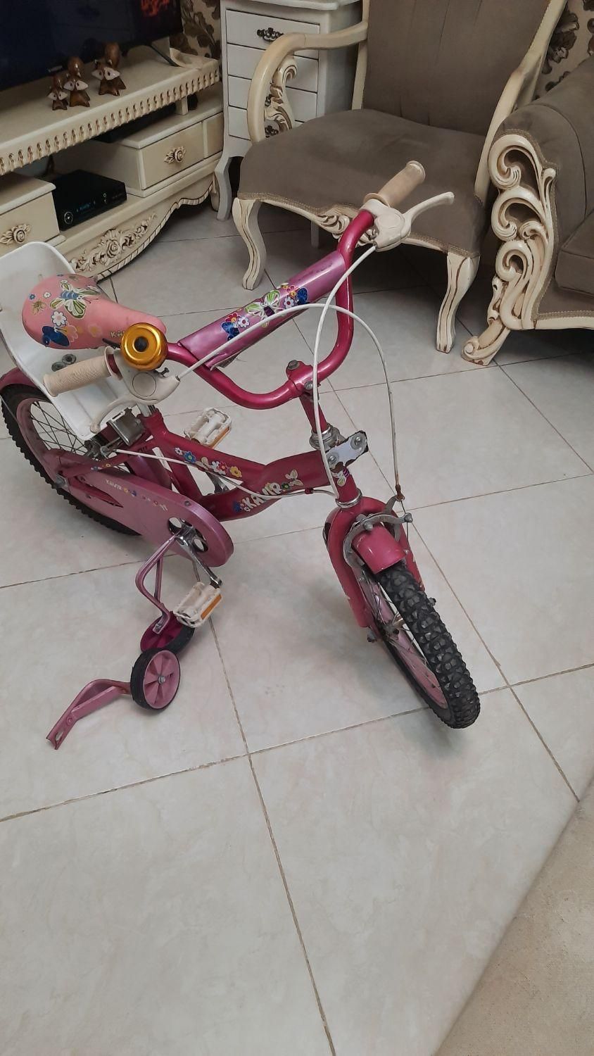 دوچرخه|دوچرخه، اسکیت، اسکوتر|قدس, شهرقدس|دیوار