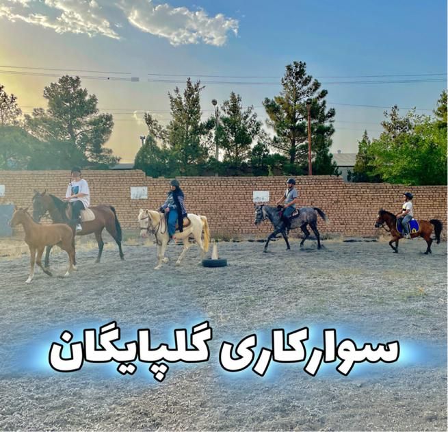 اولین مرکز آموزش آکادمیک سوارکاری ( اسب ) در منطقه|خدمات آموزشی|گلپایگان, |دیوار