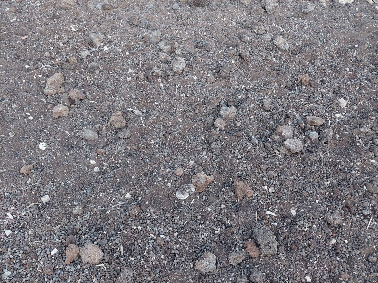 کود بز و گوسفند خشک گونی شده و فله.و کود پوسیده|لوازم جانبی حیوانات|برازجان, |دیوار