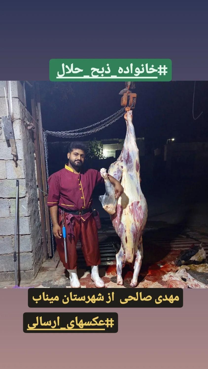 قصاب هستم|خدمات پذیرایی، مراسم|میناب, |دیوار