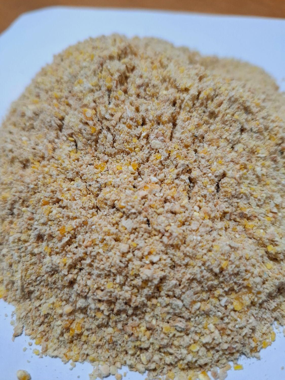 دان بلدرچین|لوازم جانبی حیوانات|رشت, جماران|دیوار