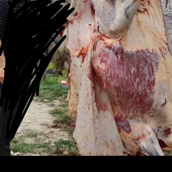 قصاب در محل(خدمات قصاب در محل ذبح در محل)|خدمات پذیرایی، مراسم|اسلام‌شهر, شهرک قائمیه|دیوار