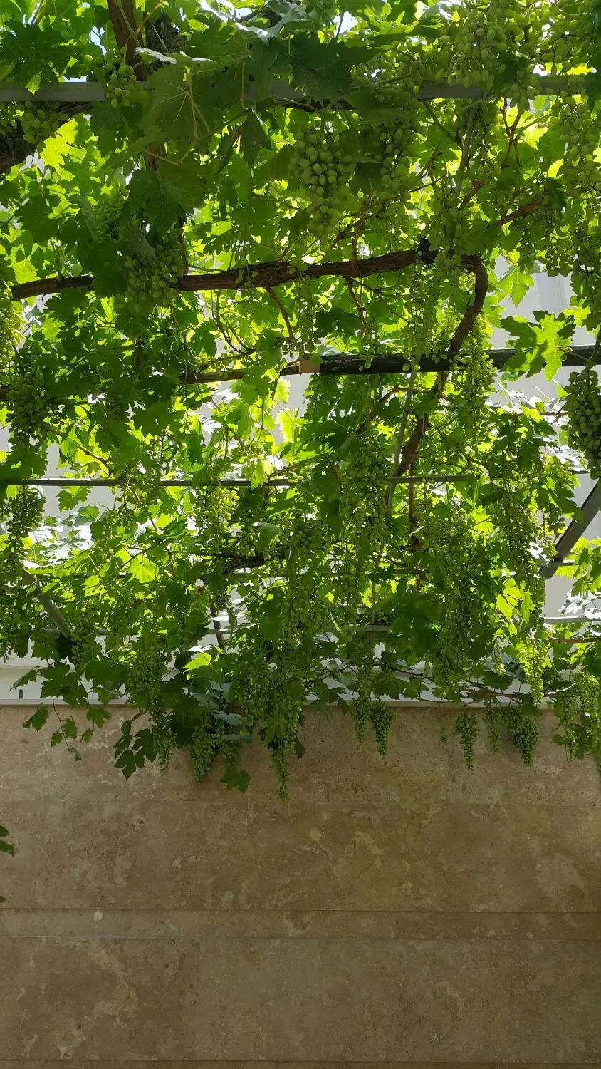 رهن کامل وقابل تبدیل خانه ویلایی در شهرک اوج|اجارهٔ خانه و ویلا|کرج, شهرک اوج|دیوار