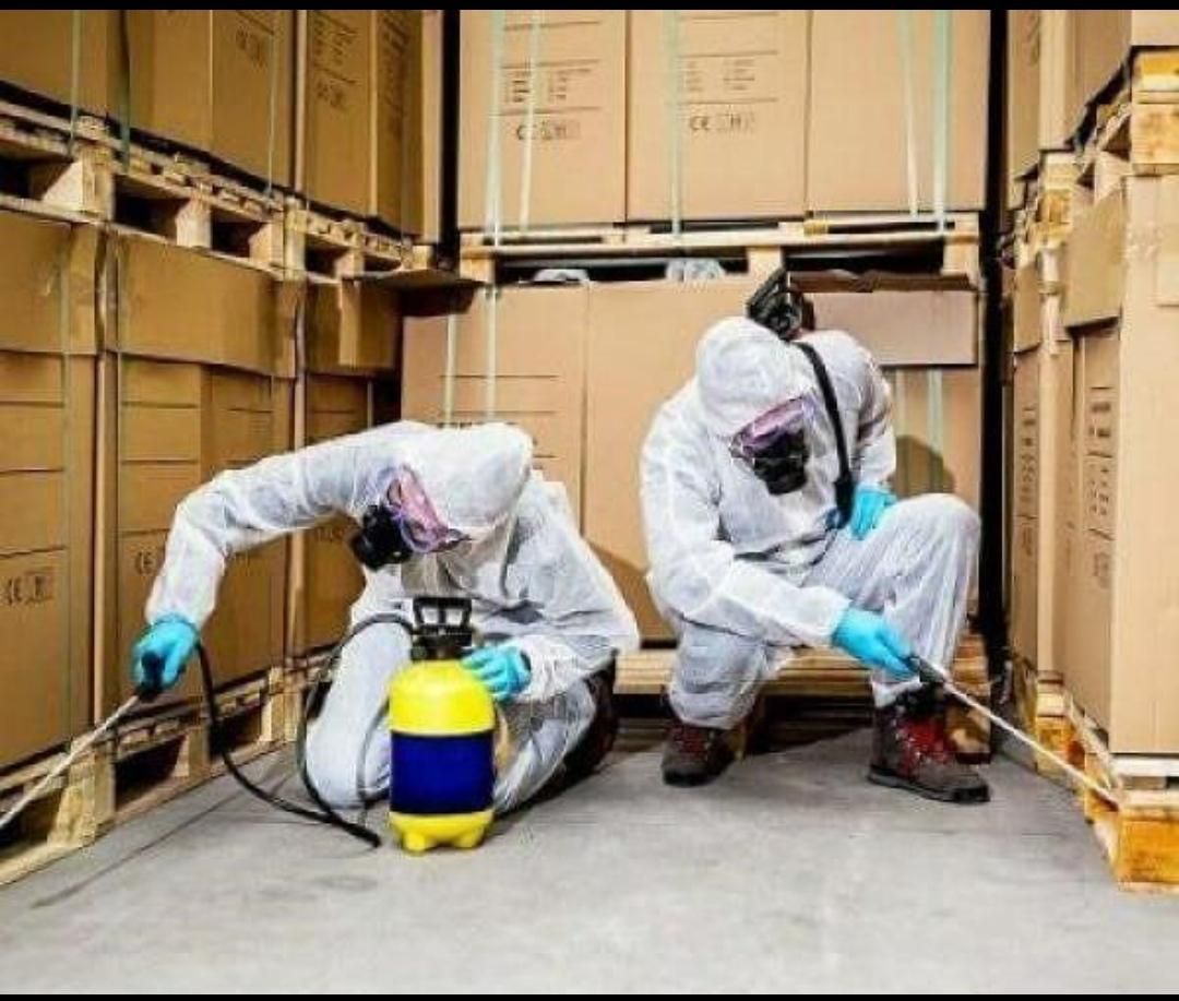 سمپاشی و موریانه زدایی منازل بادرک با تخفیف ویژه|خدمات نظافت|دزفول, |دیوار