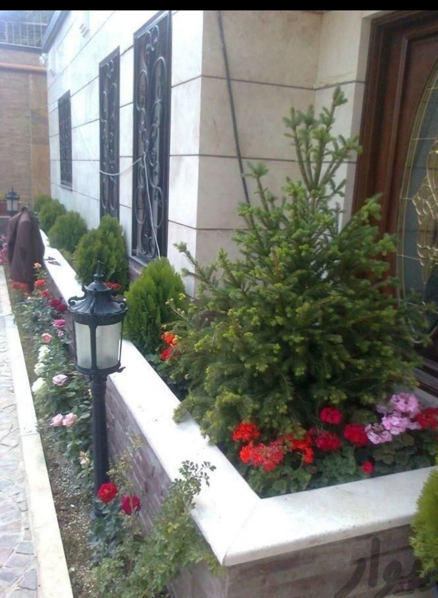 خدمات باغبانی هرسکاری گل کاری در تمام نقاط تهران|خدمات باغبانی و درختکاری|تهران, صادقیه|دیوار