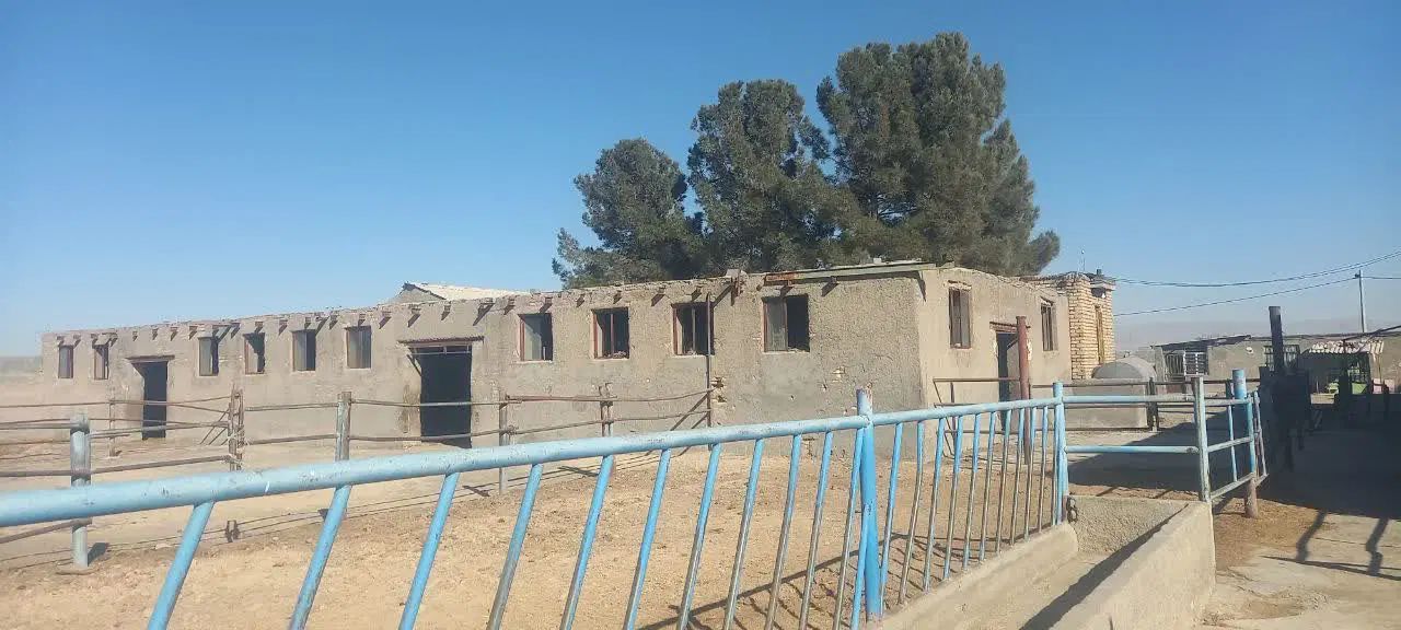 رهن اجاره گاورداری دامداری شاهنامه ۶۷|اجارهٔ دفتر صنعتی، کشاورزی، تجاری|مشهد, توس فردوسی|دیوار