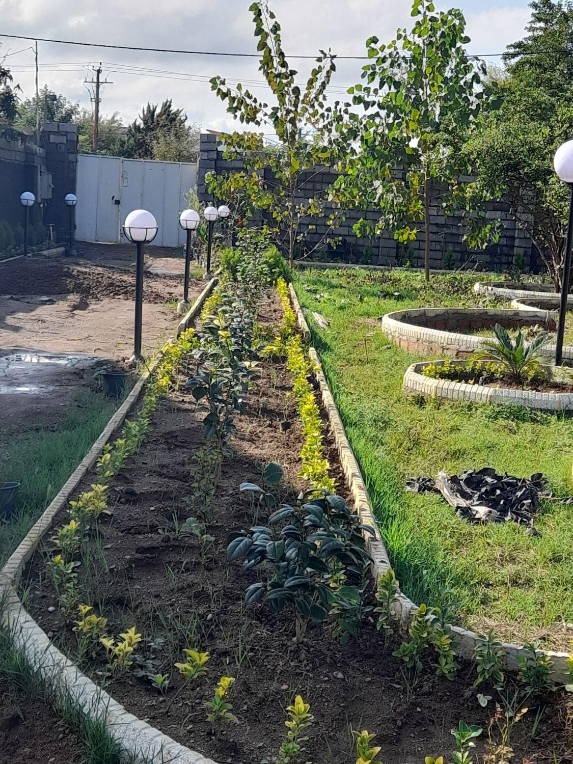 خدمات تخصصی باغبانی و فضای سبز|خدمات باغبانی و درختکاری|بندر انزلی, کارآموزی|دیوار