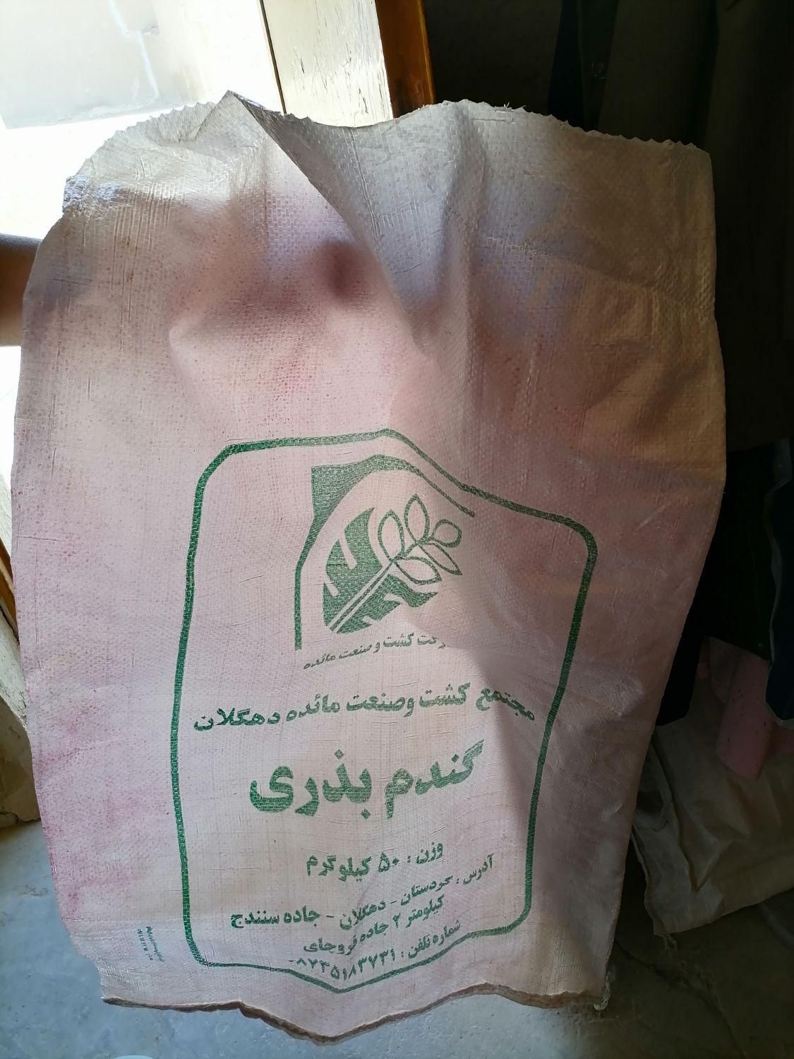 گ و ن ی سالم|فرش|قروه, |دیوار