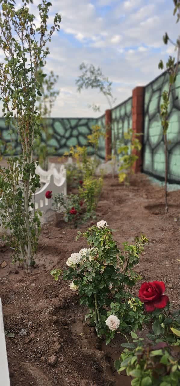 باغچه با سند تک برگ/۲۳۲ متر/چسب بافت|فروش زمین و ملک کلنگی|شهریار, اصیل آباد|دیوار