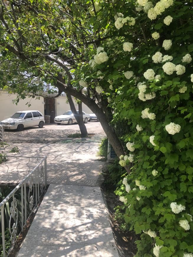 اجاره سویت ویلا و اتاق دردهبکری|اجارهٔ کوتاهمدت آپارتمان و سوئیت|دهبکری, |دیوار