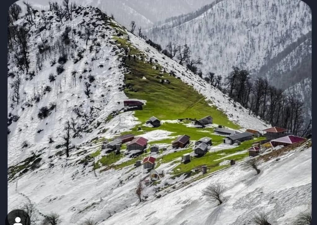 اجاره ویلا و کلبه های  سویسی و معمولی در ییلاق|اجارهٔ کوتاه‌مدت آپارتمان و سوئیت|ماسال, |دیوار