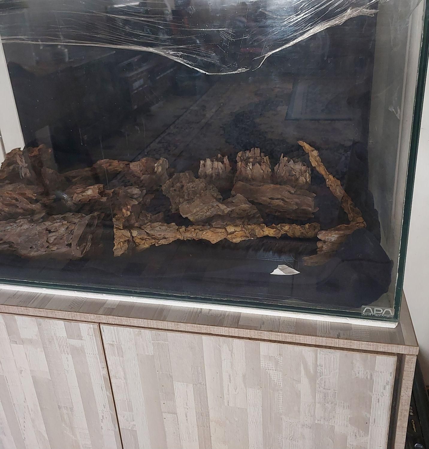 فروش آکواریوم|ماهی|شیراز, تاچارا|دیوار