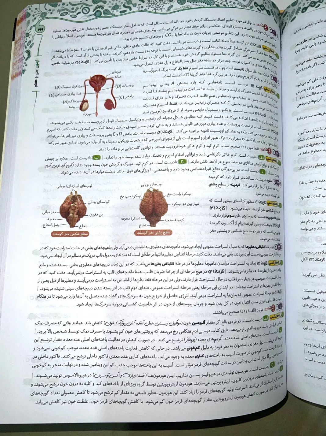 کتاب تست جامع زیست شناسی با پاسخنامه تشریحی|کتاب و مجله آموزشی|شیراز, شهرک برف فروشان|دیوار