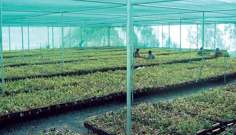 اجرای انواع گلخانه|عمده‌فروشی|شیراز, فرهنگ شهر|دیوار