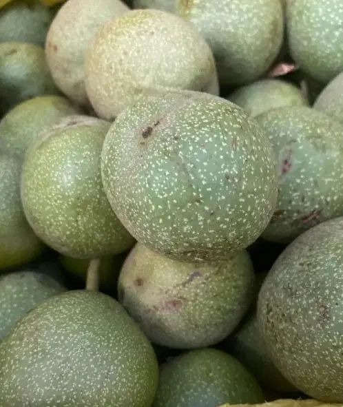 گردو درجه یک|حراج|کرمانشاه, |دیوار