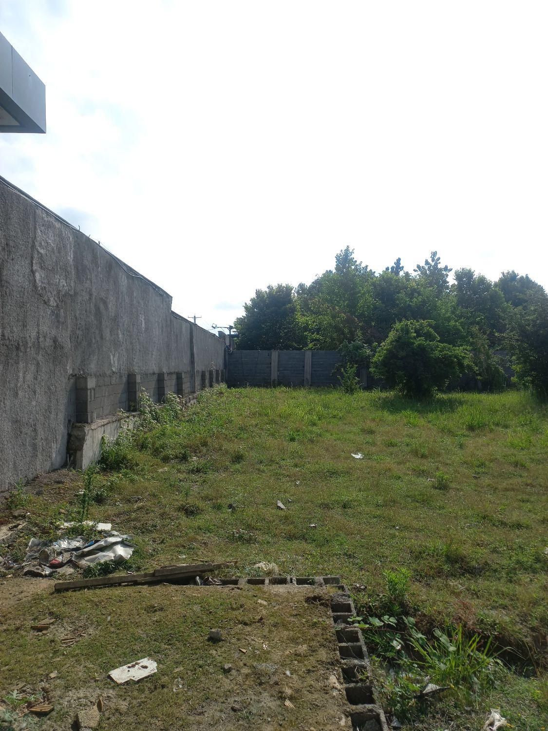 ویلایی / زمین / مسکونی / هکتاری /|فروش زمین و ملک کلنگی|رشت, منظریه|دیوار