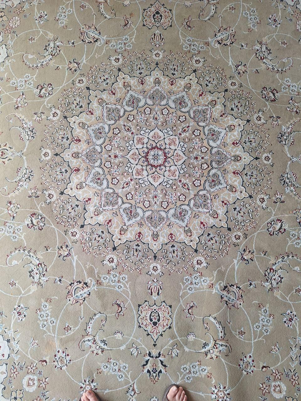 فرش ۱۲ متری|فرش|اصفهان, دستگرده|دیوار