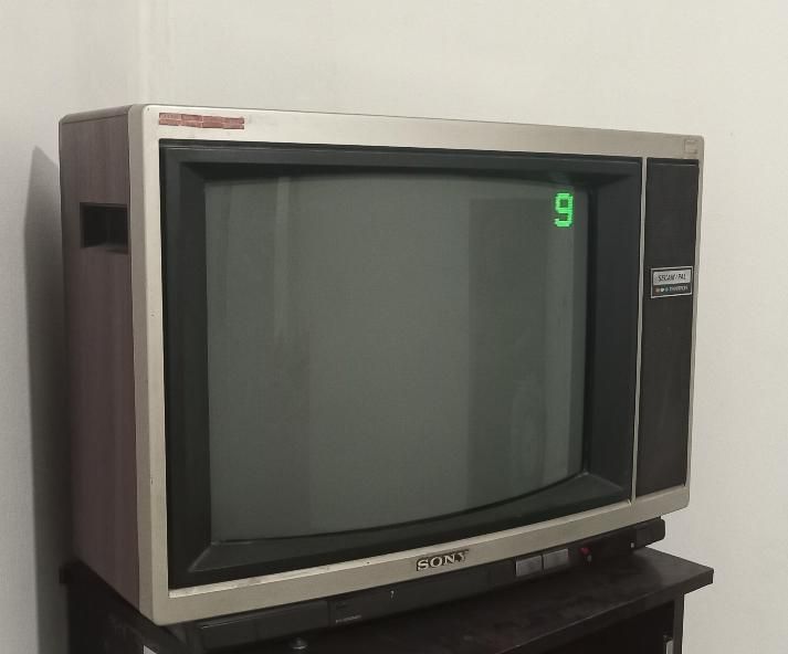 تلویزیون کلکسیونی|تلویزیون و پروژکتور|اصفهان, کشاورزی|دیوار