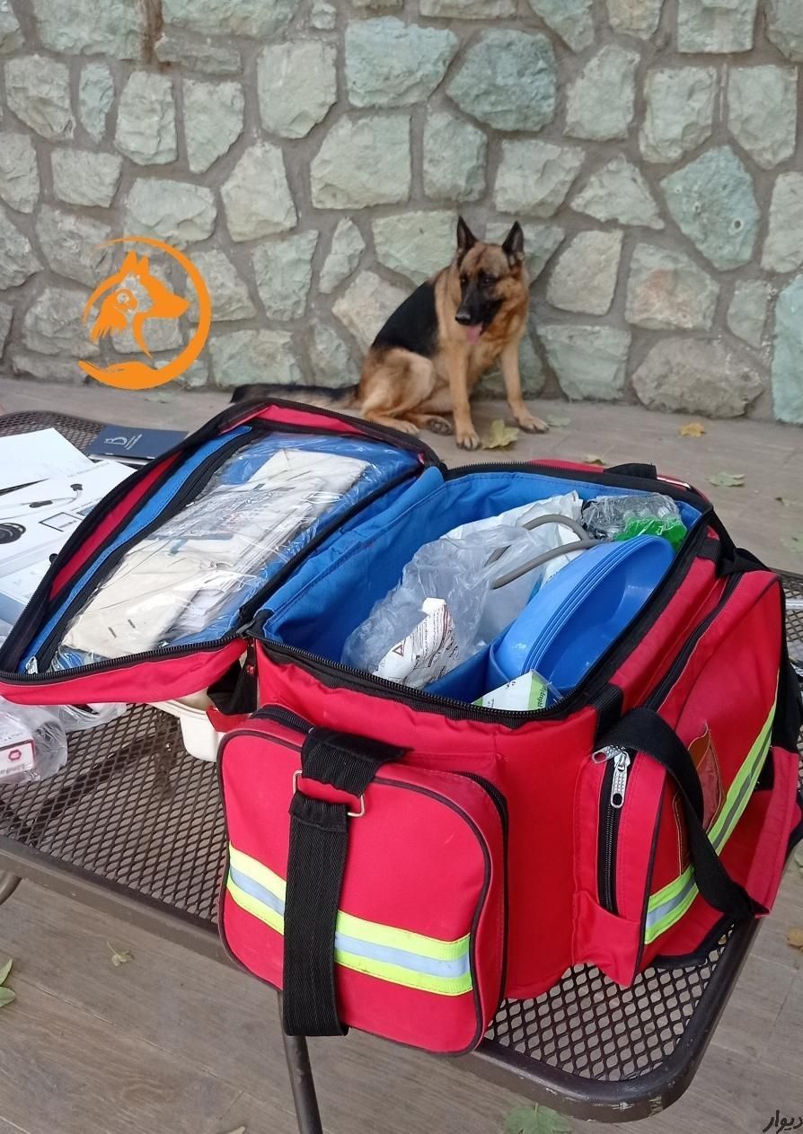 دکتر دامپزشک در محل و کلینیک دامپزشکی سیار|خدمات پیشه و مهارت|کرج, فاز ۳ مهرشهر|دیوار