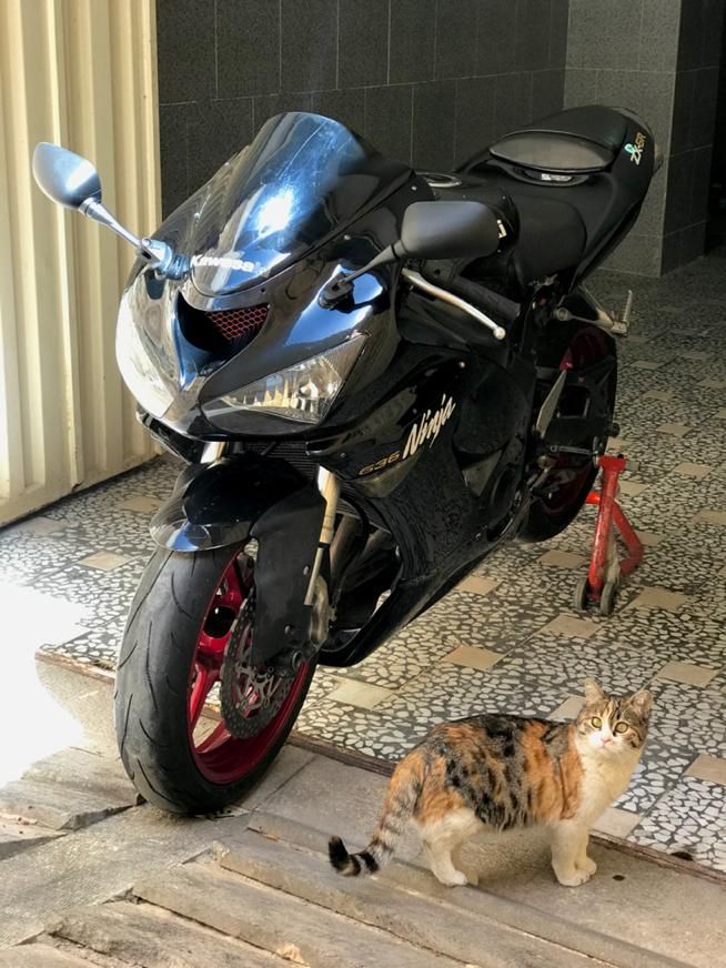 موتورسنگین Cbr Cb1300 Zx Ninja|موتورسیکلت|تهران, الهیه|دیوار
