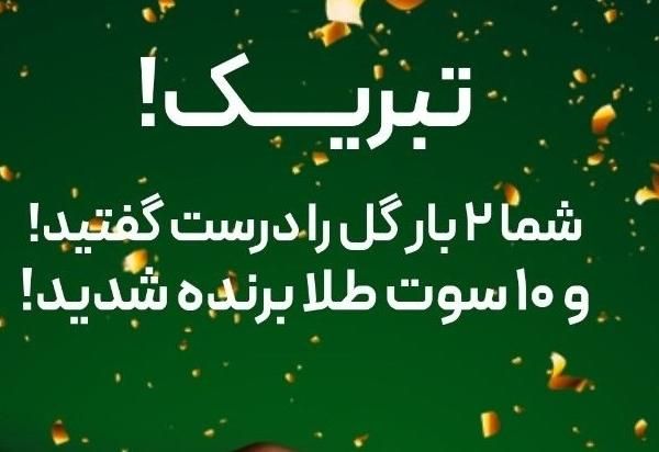 ۱۰سوت طلا|جواهرات|تهران, جنت‌آباد مرکزی|دیوار