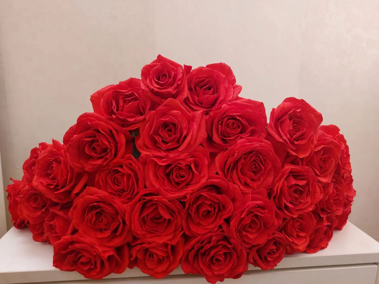 شاخه گل رز مصنوعی (بسته۱۰ عددی نقد و اقساط )|گل مصنوعی|بندرعباس, |دیوار