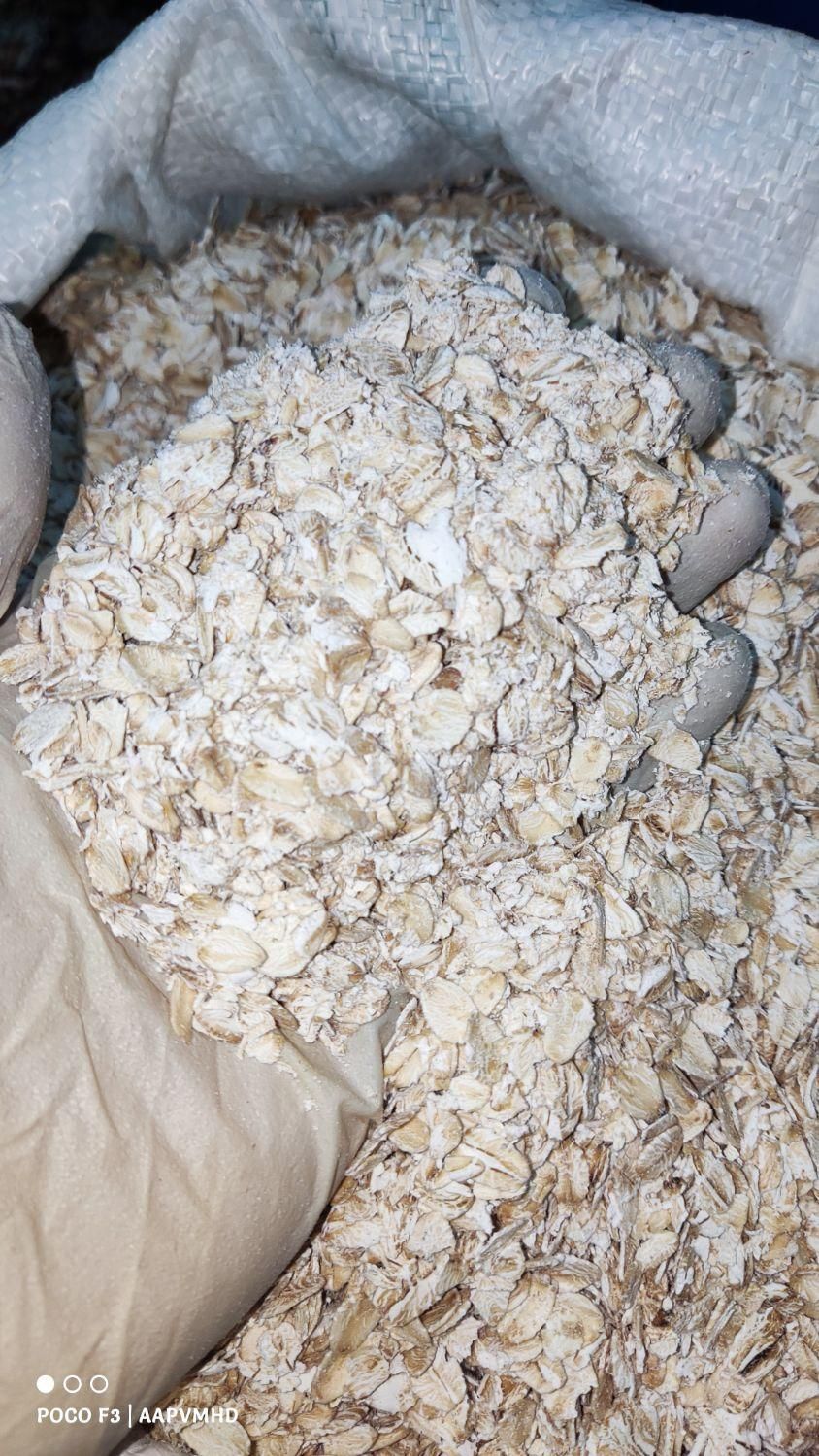 جو دوسر پرک آلمانی بصورت جزئی و کلی   اوتمیل|عمده‌فروشی|مشهد, موسوی قوچانی|دیوار