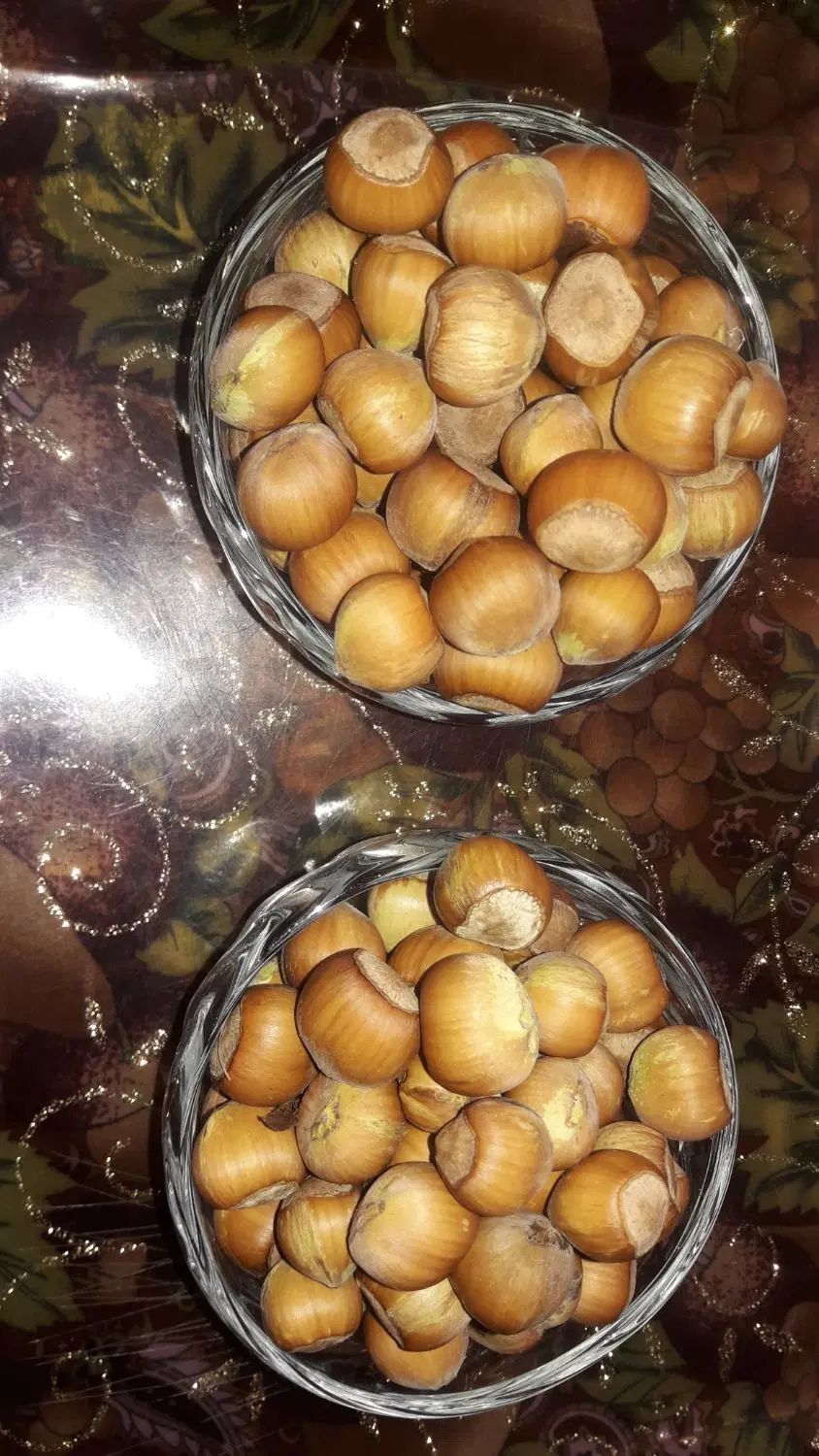 فندوق|خوردنی و آشامیدنی|کرج, شاهین‌ویلا|دیوار