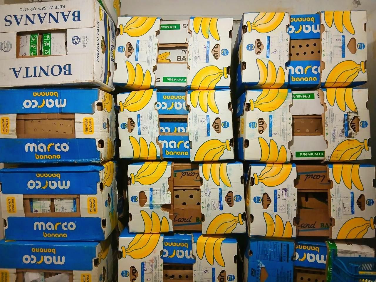 فروش کارتن موز کاملا سالم|ابزارآلات|لاهیجان, کوی زمانی|دیوار