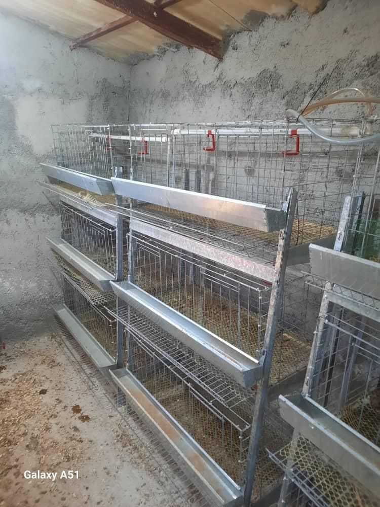 قفس مرغی. جنس آلمنیوم.|لوازم جانبی حیوانات|چمستان, |دیوار