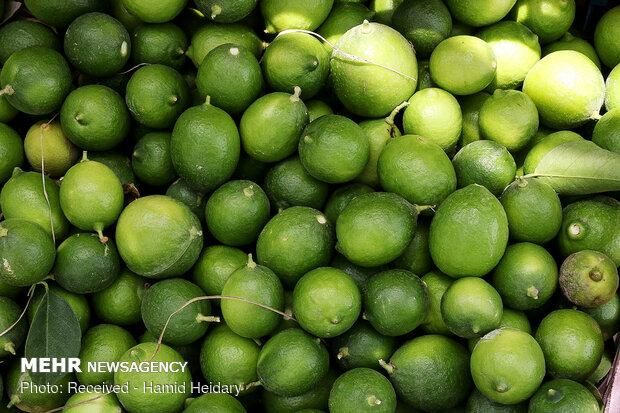 تره بار|خوردنی و آشامیدنی|تهران, شهرک شریعتی|دیوار