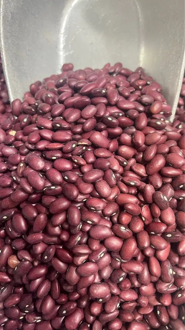 حبوبات|خوردنی و آشامیدنی|رشت, کوی فکوری|دیوار