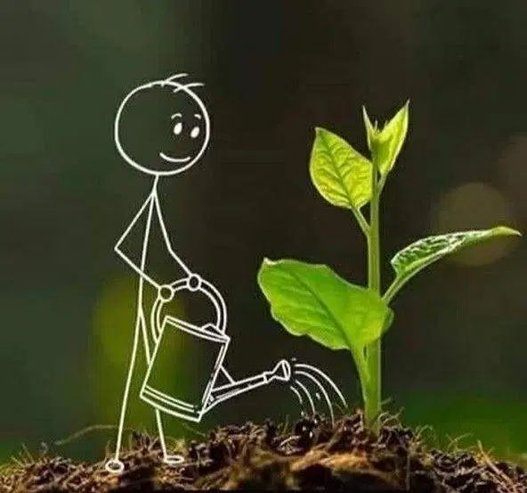 لوله 16 قطره ای|عمده‌فروشی|اصفهان, شفق|دیوار