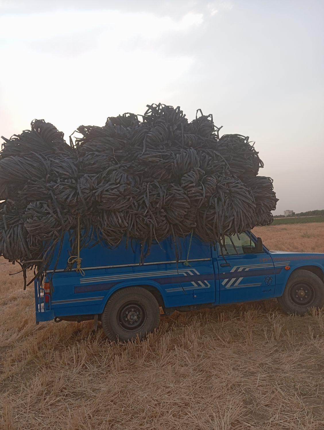 خرید و فروش انواع طیف محمدرضا علیزاده|حراج|اقبالیه, |دیوار