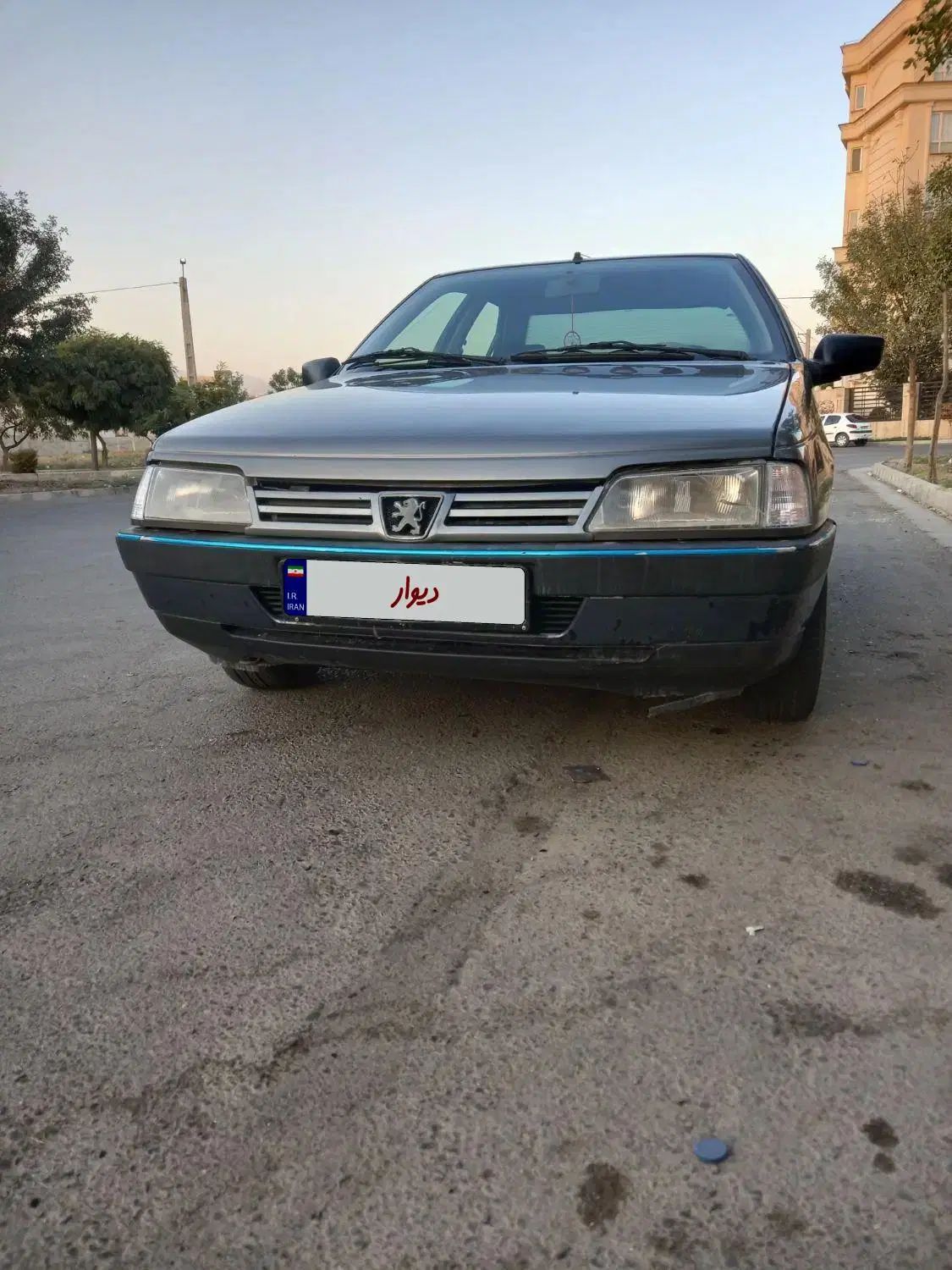 پژو۴۰۵|خودرو سواری و وانت|کرج, ساماندهی|دیوار