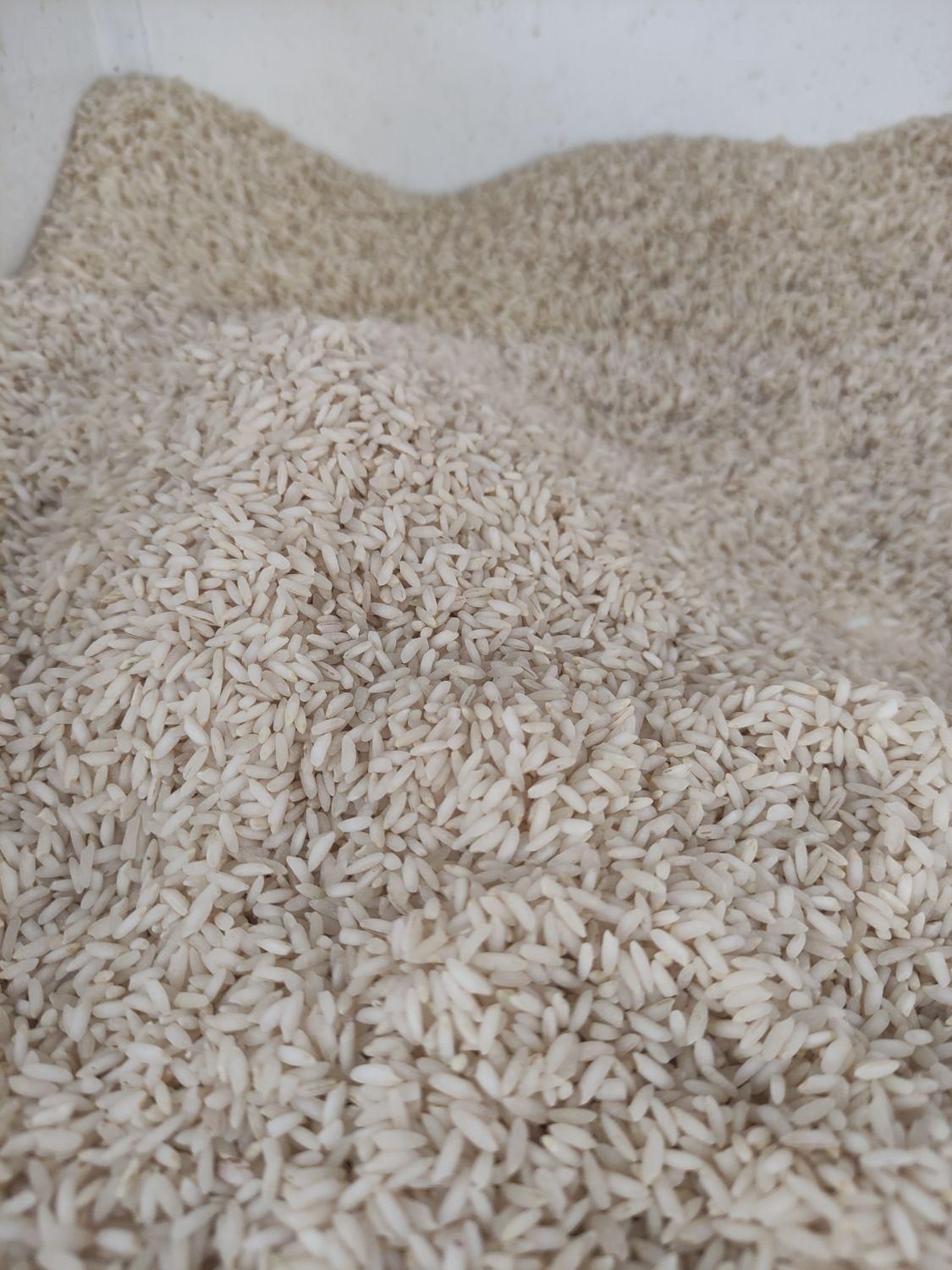 برنج لنجان بشرط و عالی|خوردنی و آشامیدنی|اصفهان, شیخ اشراق|دیوار