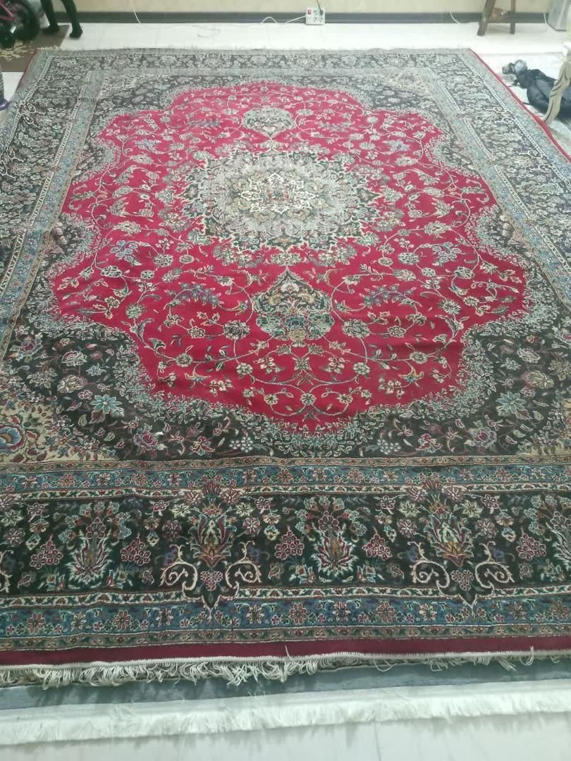 فرش سالم|فرش|شاندیز, |دیوار