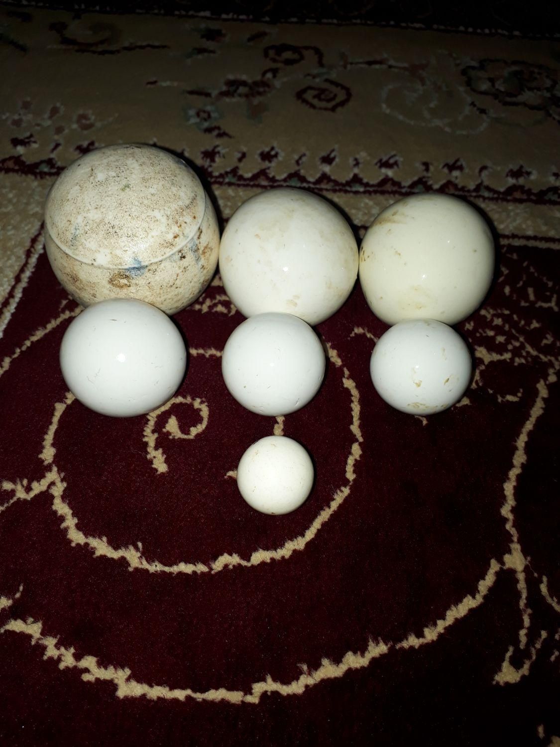سنگ الماس آسیاب|جواهرات|رشت, عینک|دیوار