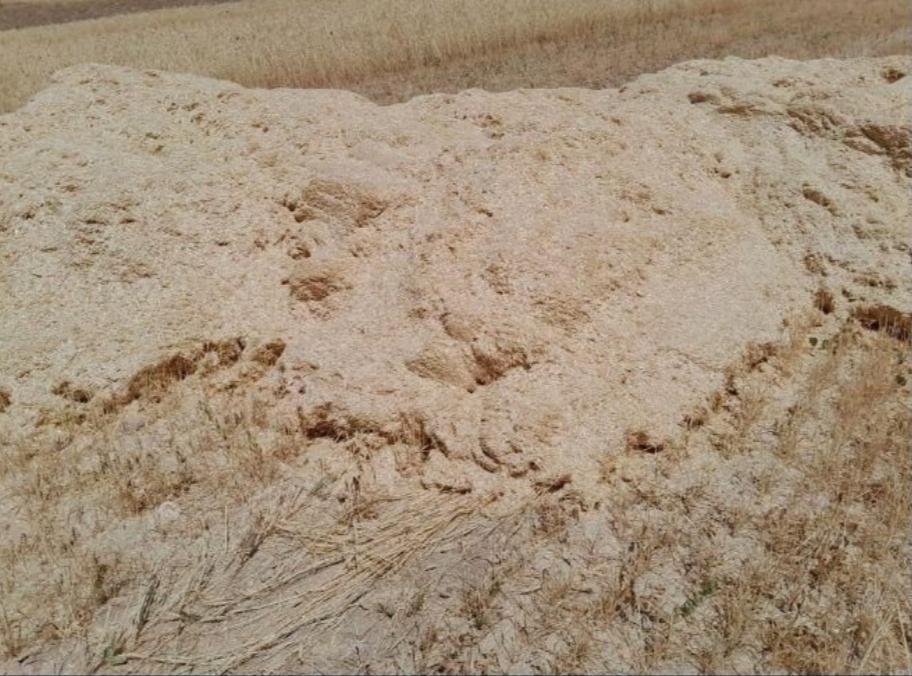 کاه گندم دیم کردستان|عمده‌فروشی|اصفهان, شاهزاده ابراهیم|دیوار