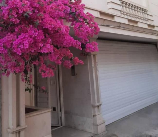 سوئیت همکف با حیاط و پارکینگ درمرکزشهر|اجارهٔ کوتاهمدت آپارتمان و سوئیت|یزد, |دیوار