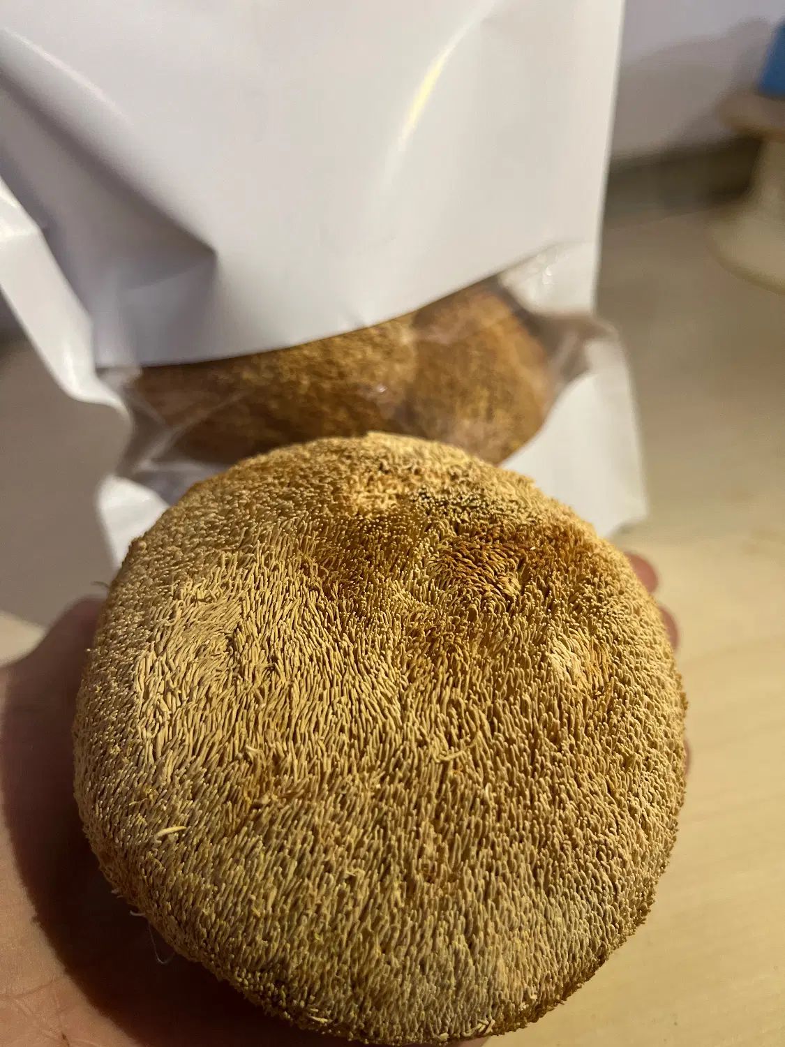 قارچ یال‌شیر خشک‌شده/تقویت مغز و اعصاب|خوردنی و آشامیدنی|تهران, پونک|دیوار