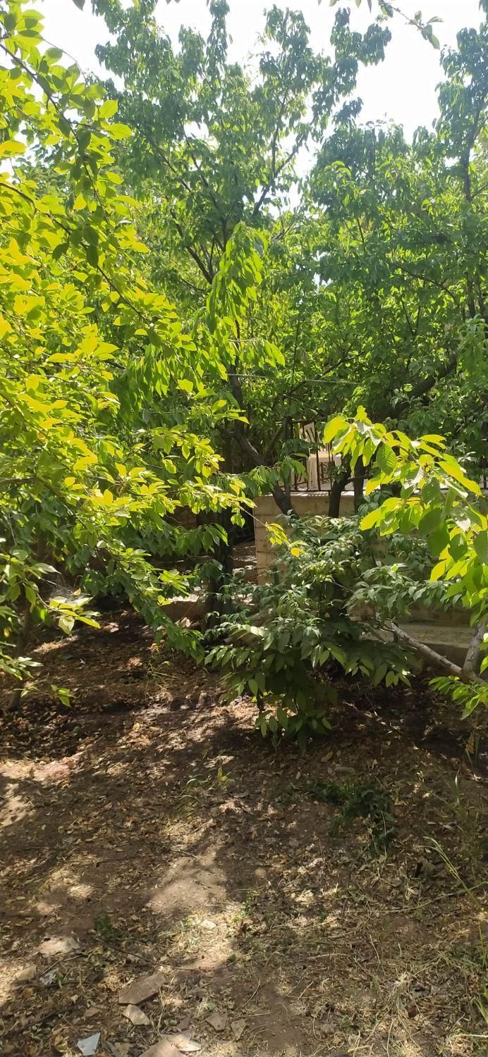 خانه سوئیت ویلا|اجارهٔ کوتاه‌مدت ویلا و باغ|هشتگرد, فشند|دیوار