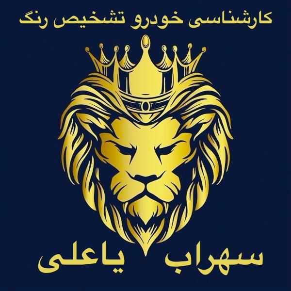 کارشناسی و تشخیص رنگ سیار خودرو غرب تهران واندیشه|خدمات موتور و ماشین|تهران, چیتگر جنوبی|دیوار