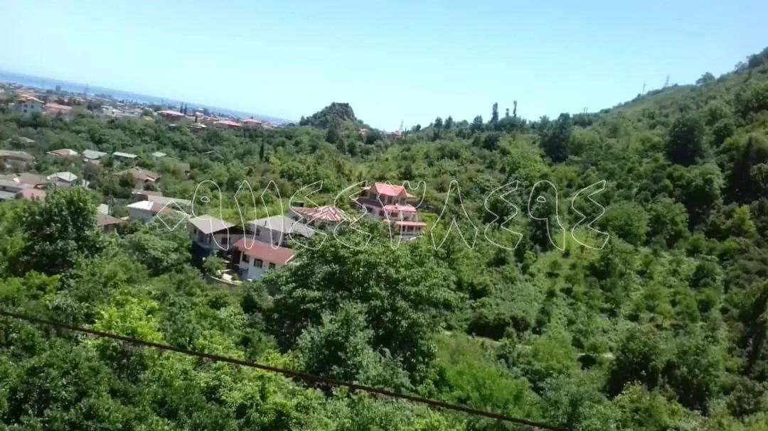 ویلای جنگلی 420متری در بام کشپل جوربند|فروش خانه و ویلا|نور, |دیوار