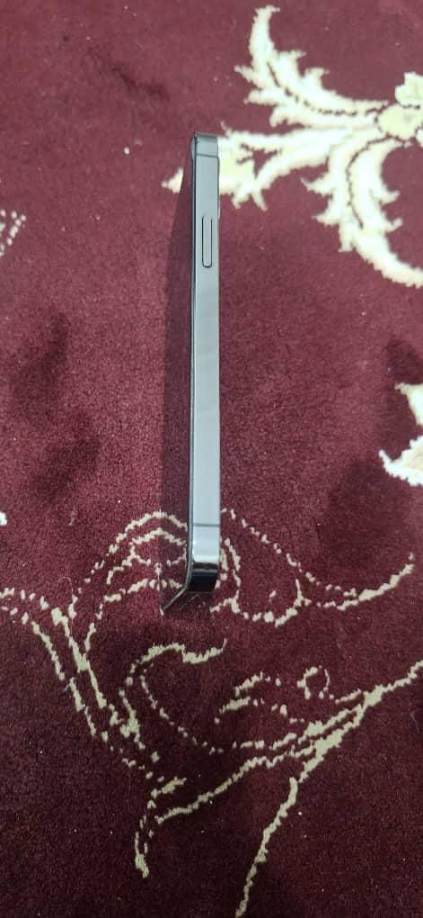 اپل iPhone 12 Pro با حافظهٔ ۵۱۲ گیگابایت|موبایل|زاهدان, |دیوار