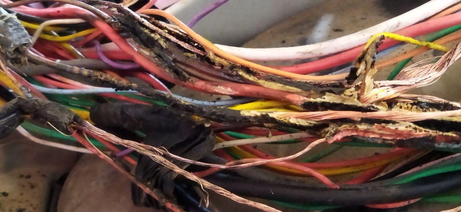 برقکار اتومبیل سیار خودرو|خدمات موتور و ماشین|یاسوج, |دیوار